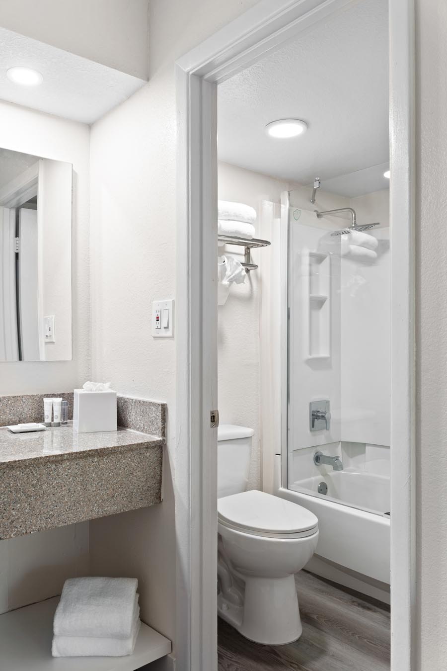 Toilet, shower, vanity and mirror